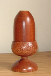Acorn