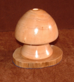 Mushroom
